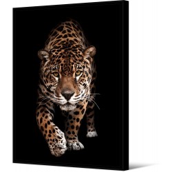 Tableau Wild Things Tigre