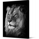 Tableau Wild Things Lion