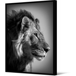 Tableau Wild Things Lion