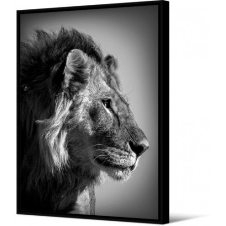 Tableau Wild Things Lion