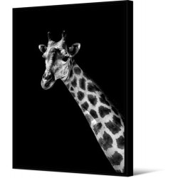 Tableau Wild Things Girafe