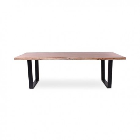 KAZ table 200 x 100cm